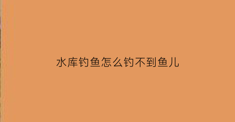 水库钓鱼怎么钓不到鱼儿