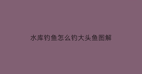 水库钓鱼怎么钓大头鱼图解(水库钓鱼怎么钓大头鱼图解大全)