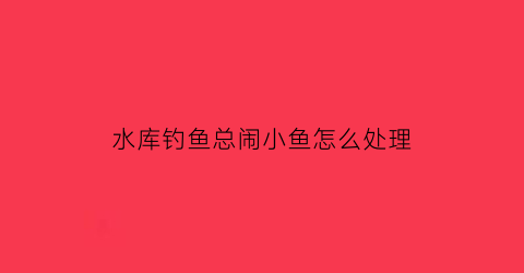 “水库钓鱼总闹小鱼怎么处理(水库钓鱼小鱼多怎么避开小鱼)