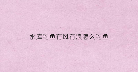 水库钓鱼有风有浪怎么钓鱼(水库风大钓鱼)