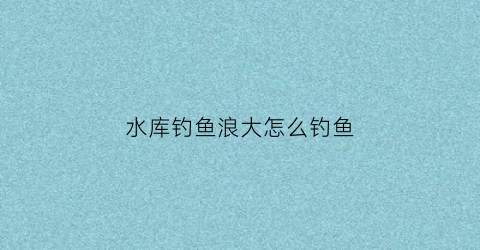 水库钓鱼浪大怎么钓鱼(水库钓鱼风浪太大怎么钓)