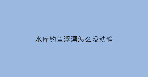 “水库钓鱼浮漂怎么没动静(钓鱼浮漂不下去怎么办)