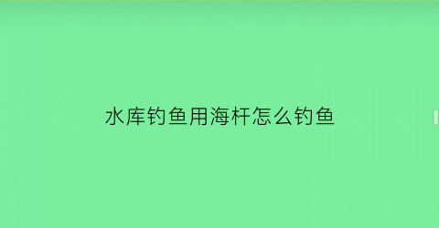 水库钓鱼用海杆怎么钓鱼