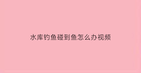 水库钓鱼碰到鱼怎么办视频(水库钓到大鱼)