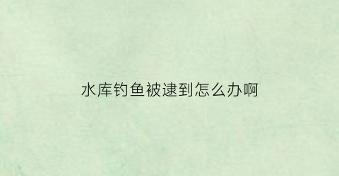 水库钓鱼被逮到怎么办啊