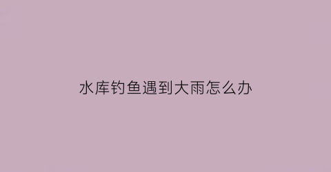 “水库钓鱼遇到大雨怎么办(水库下雨)