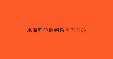 “水库钓鱼遇到杂鱼怎么办(水库钓鱼遇到杂鱼怎么办视频)