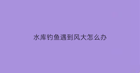 “水库钓鱼遇到风大怎么办(水库大风怎么调漂)