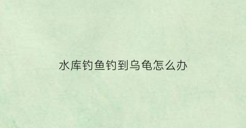 水库钓鱼钓到乌龟怎么办(水库钓鱼钓到乌龟怎么办呢)
