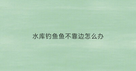 水库钓鱼鱼不靠边怎么办(水库钓鱼不上鱼)