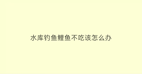 水库钓鱼鲤鱼不吃该怎么办(水库鲤鱼不吃钓的原因)