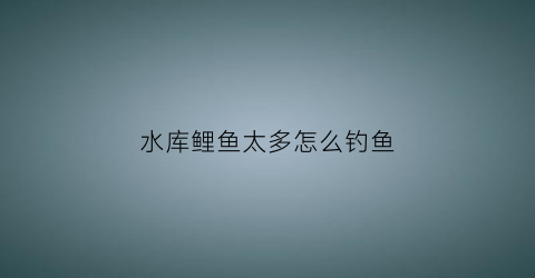 水库鲤鱼太多怎么钓鱼(水库鲤鱼太多怎么钓鱼呢)