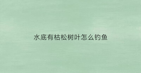 “水底有枯松树叶怎么钓鱼(水底有枯松树叶怎么钓鱼好)