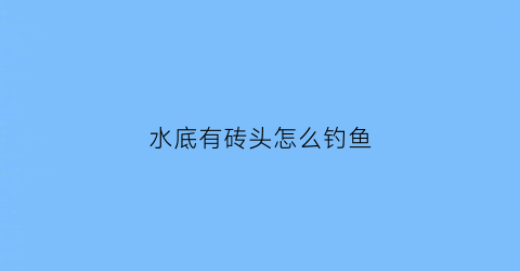 “水底有砖头怎么钓鱼(水底有砖头怎么钓鱼视频)