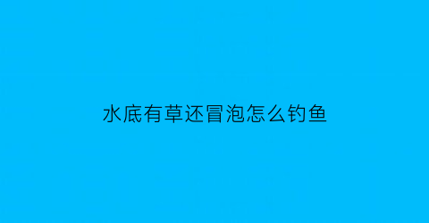 水底有草还冒泡怎么钓鱼(水底有草怎么钓鱼调漂)