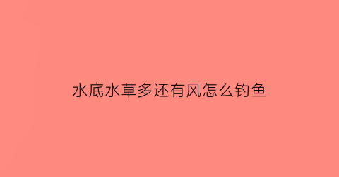 “水底水草多还有风怎么钓鱼(底下有水草怎么钓底)