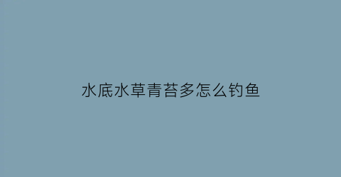 “水底水草青苔多怎么钓鱼(水底水草青苔多怎么钓鱼呢)