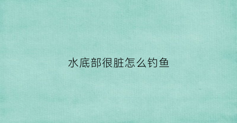 水底部很脏怎么钓鱼(水底有杂物怎么调漂)