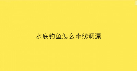 水底钓鱼怎么牵线调漂(底钓线组水下图解)