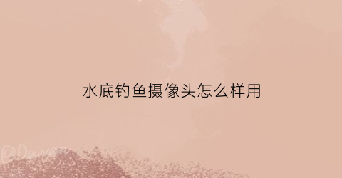 水底钓鱼摄像头怎么样用(钓鱼用水下摄像头有哪些品牌和价格)