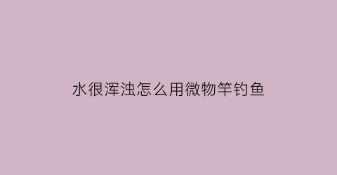 水很浑浊怎么用微物竿钓鱼(水很浑浊怎么用微物竿钓鱼视频)