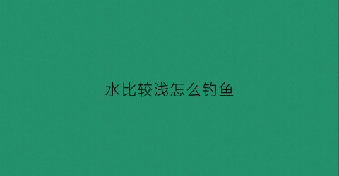水比较浅怎么钓鱼(水很浅怎么钓鱼)