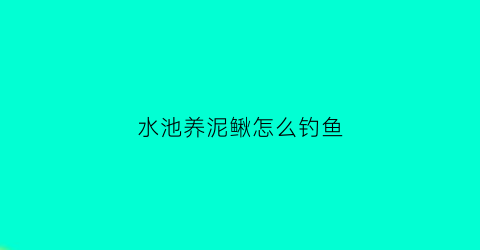 水池养泥鳅怎么钓鱼(水池养泥鳅要放泥吗)