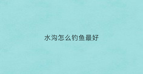 水沟怎么钓鱼最好(水沟怎么样)