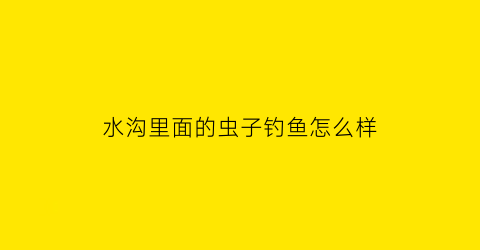 水沟里面的虫子钓鱼怎么样(水沟里的小飞虫怎么处理)