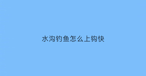 水沟钓鱼怎么上钩快(野钓小水沟)