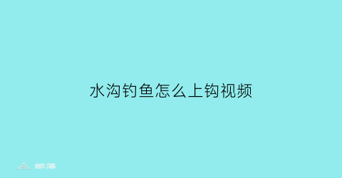 “水沟钓鱼怎么上钩视频(野钓小水沟)