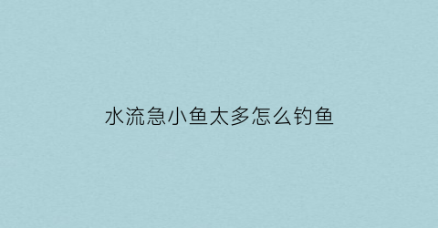 水流急小鱼太多怎么钓鱼(水流比较急怎么钓鱼)