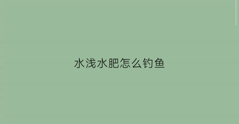 水浅水肥怎么钓鱼(水浅钓鱼用什么饵料)
