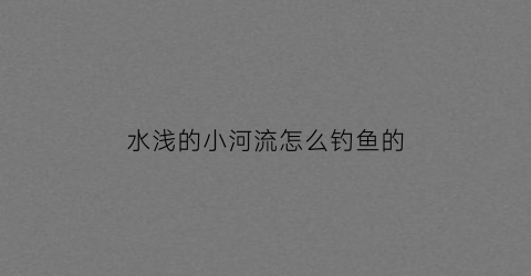 水浅的小河流怎么钓鱼的(河水很浅怎么钓鱼)