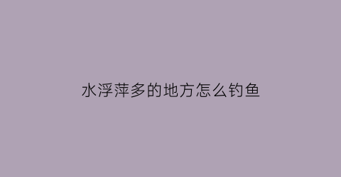 水浮萍多的地方怎么钓鱼(浮萍水流不能大吗)