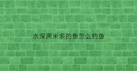 水深两米多的鱼怎么钓鱼(2米多水深还钓底吗)