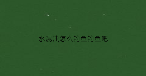 水混浊怎么钓鱼钓鱼吧(水浑浊能钓到鱼吗)