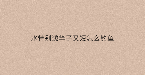 水特别浅竿子又短怎么钓鱼(水特别浅竿子又短怎么钓鱼呢)