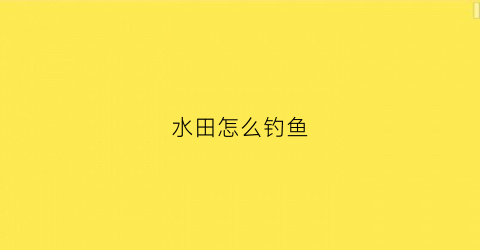 水田怎么钓鱼(水田怎么钓鱼最好)