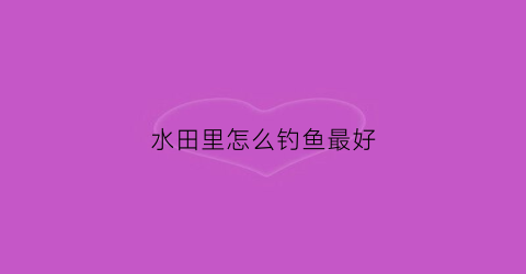 水田里怎么钓鱼最好(水田钓鱼的意境是什么)