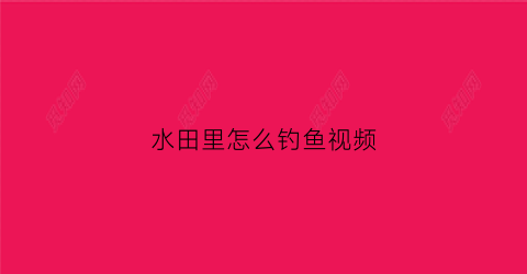 水田里怎么钓鱼视频(水田里怎么钓鱼视频教学)