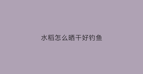 水稻怎么晒干好钓鱼