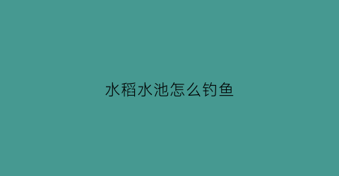 水稻水池怎么钓鱼