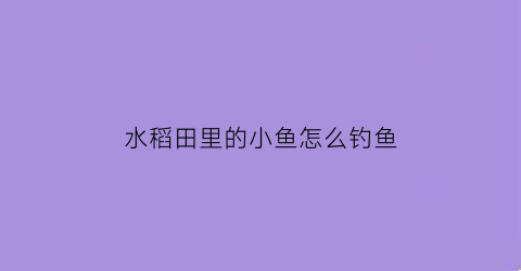 水稻田里的小鱼怎么钓鱼(稻田钓鱼技巧)