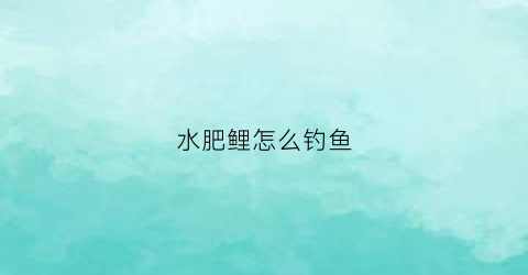 水肥鲤怎么钓鱼