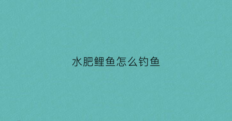 水肥鲤鱼怎么钓鱼(水肥的水域如何钓鲤鱼)