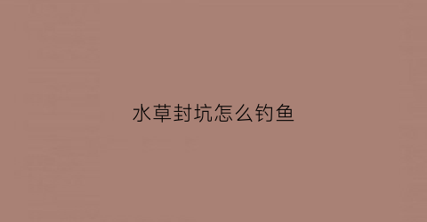 水草封坑怎么钓鱼(水草覆盖的小河怎么钓鱼)