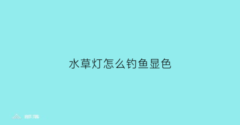 “水草灯怎么钓鱼显色(水草灯怎么钓鱼显色好看)