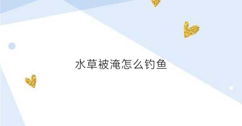 水草被淹怎么钓鱼(水草被淹怎么钓鱼最好)