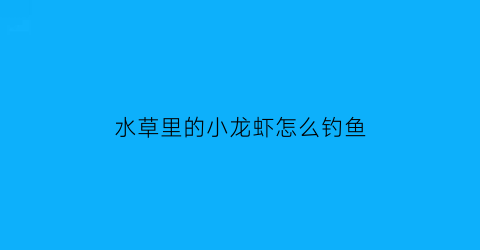 水草里的小龙虾怎么钓鱼(养小龙虾水草)